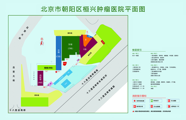 草逼啊啊啊舒服视频北京市朝阳区桓兴肿瘤医院平面图